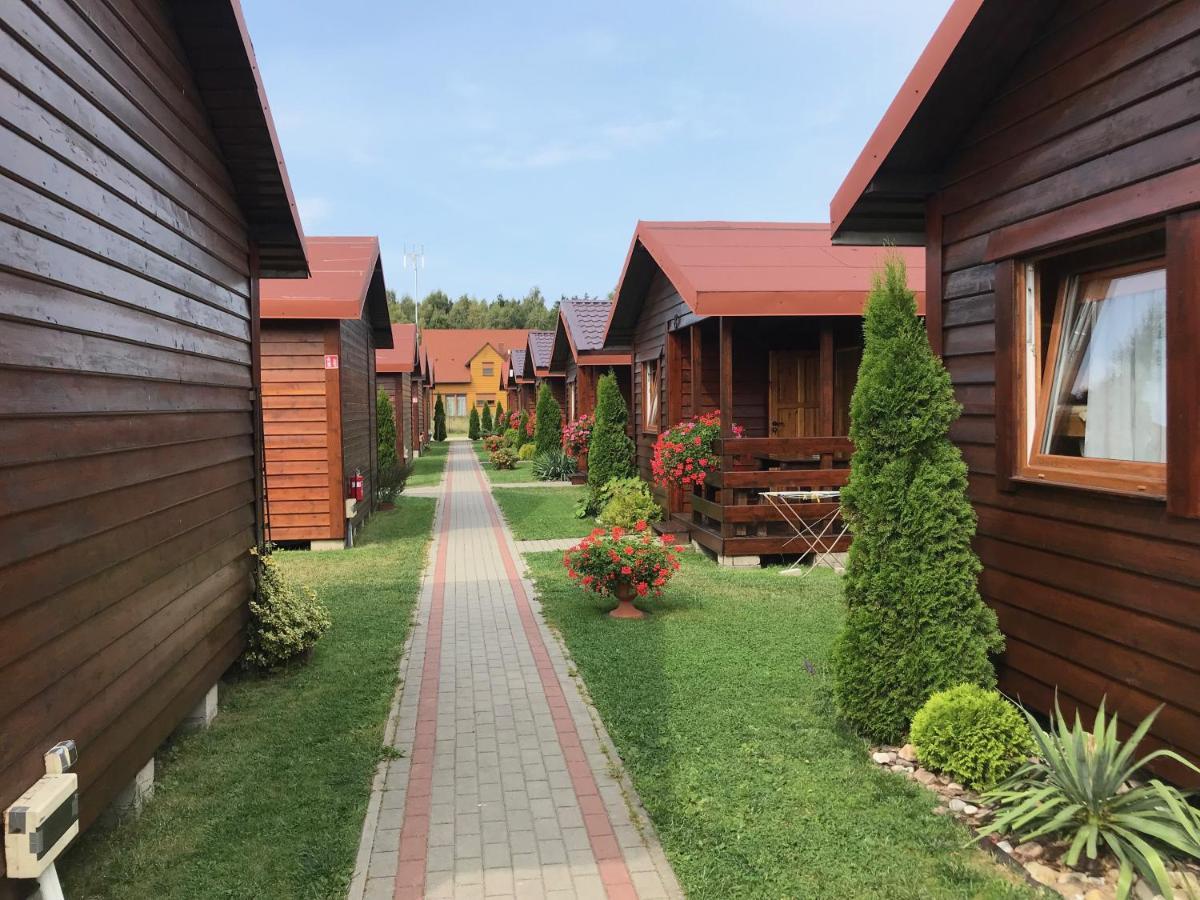 Zielony Gaj Вице Экстерьер фото